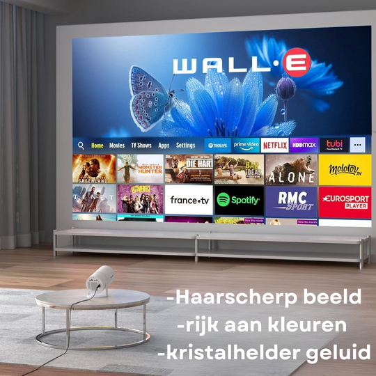 Luxe Thuisbioscoop