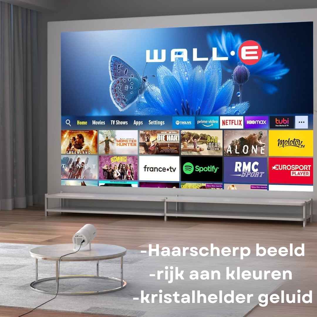 Luxe Thuisbioscoop